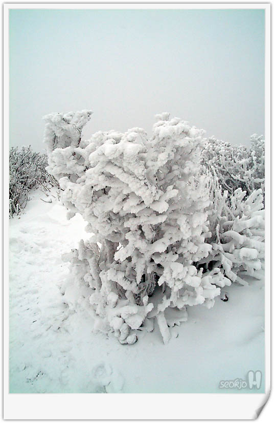 DSCF1513.jpg