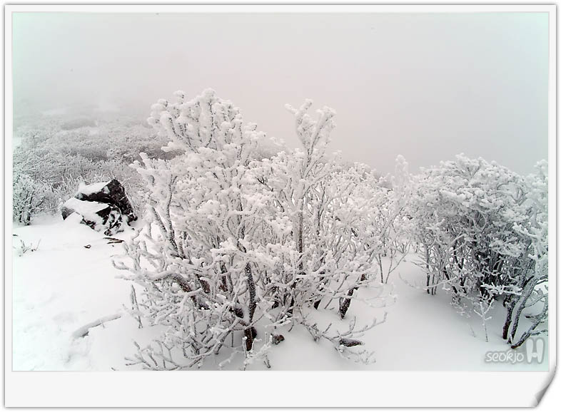 DSCF1538.jpg
