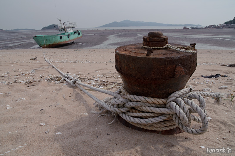 DSC_3979.jpg