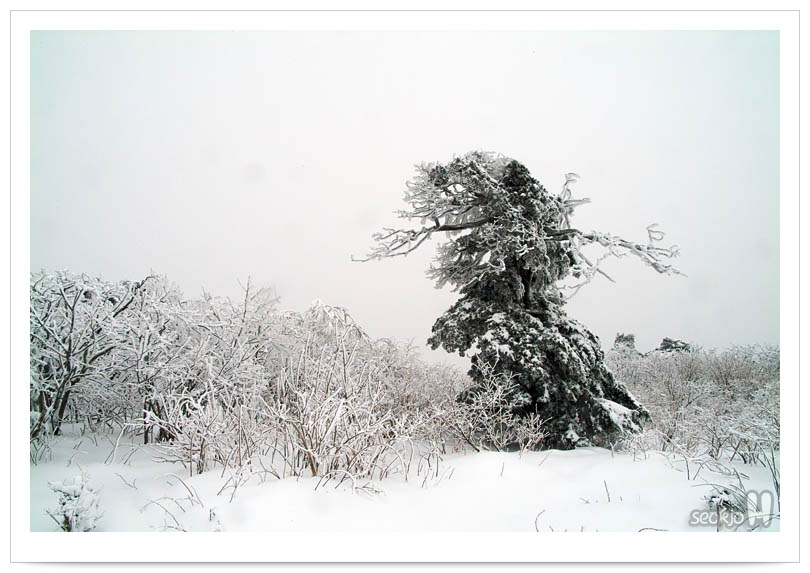 DSCF1528.jpg