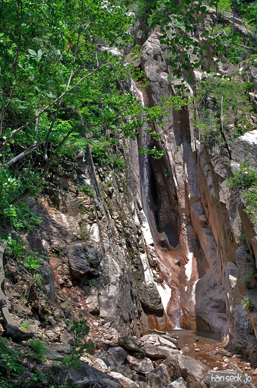 DSC_2154.jpg