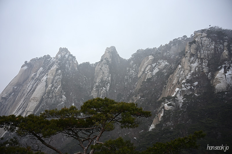 DSC_1198.jpg