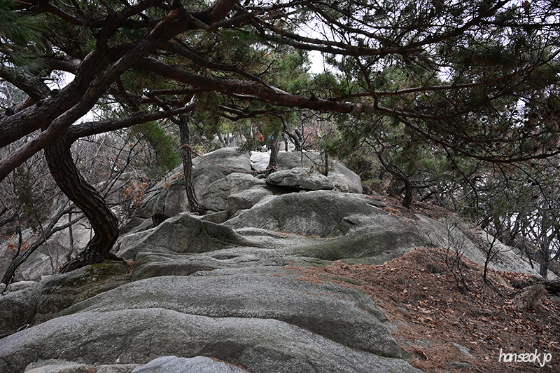 DSC_1180.jpg