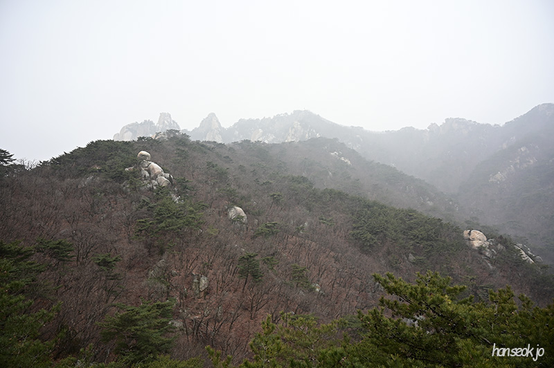 DSC_1182.jpg