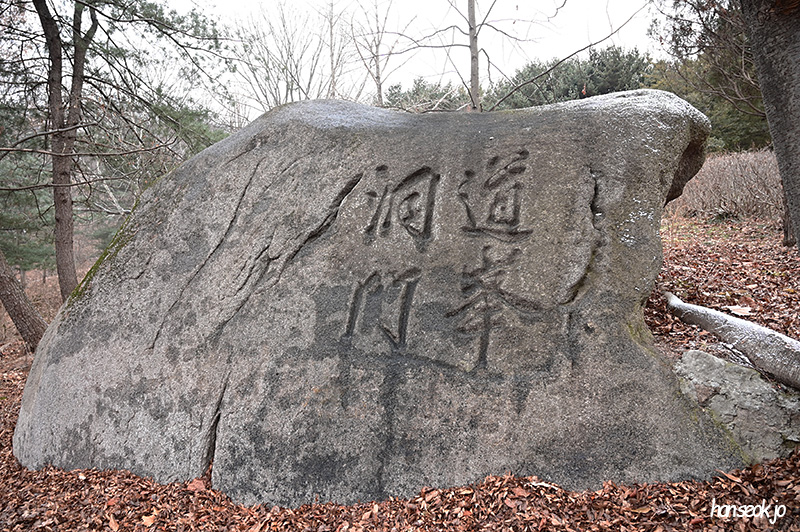 DSC_1224.jpg