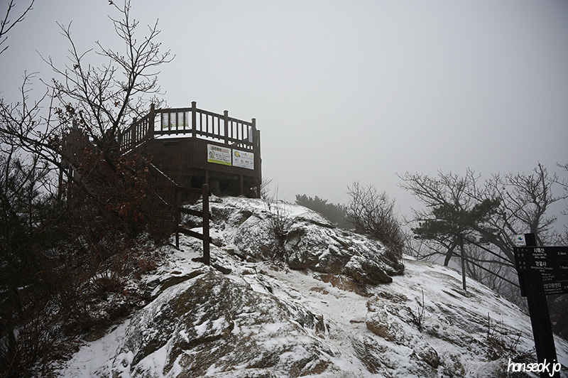 DSC_1204.jpg