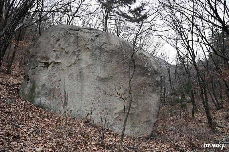 DSC_1176.jpg