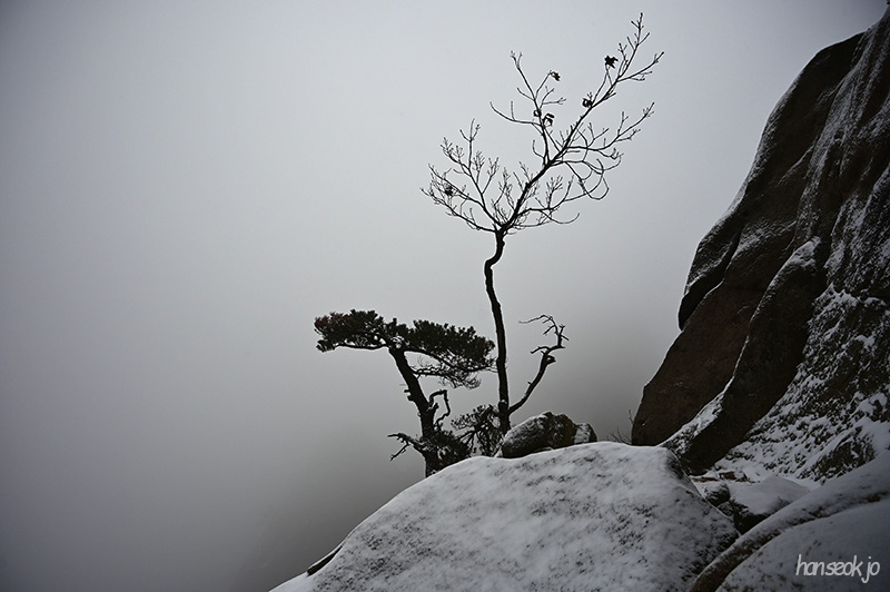 DSC_1212.jpg