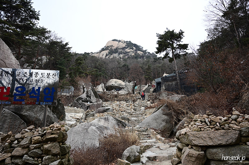 DSC_1177.jpg