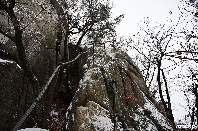 DSC_1202.jpg