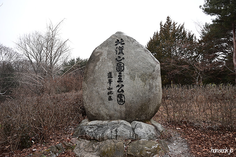 DSC_1223.jpg