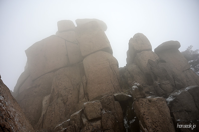 DSC_1219.jpg