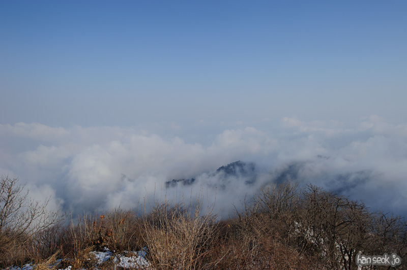 HSJ_9101.jpg