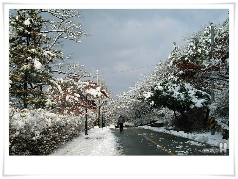DSCF1589.jpg
