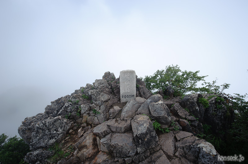 HSJ_9783.jpg