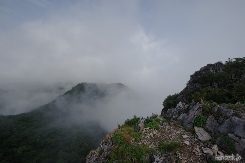 HSJ_9779.jpg