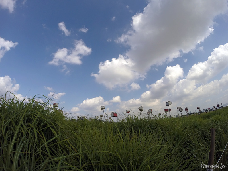 GOPR3960.jpg