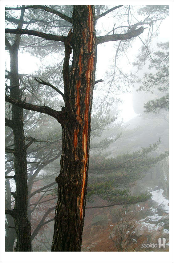 DSCF1699.jpg
