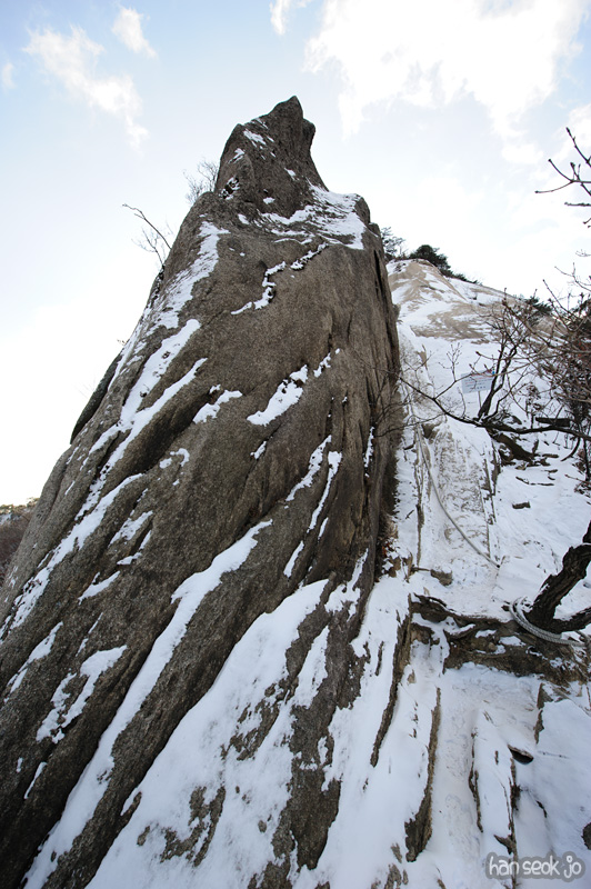 HSJ_6853.jpg
