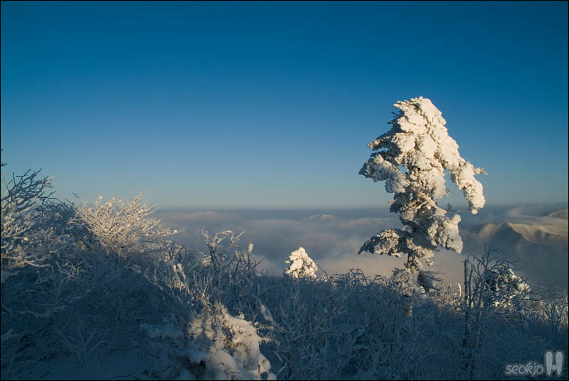DSCF1747.jpg
