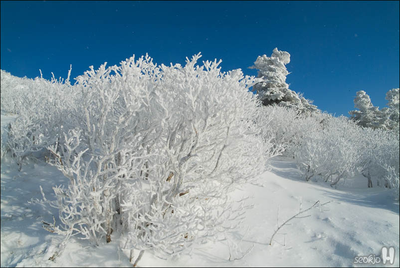 DSCF1776.jpg