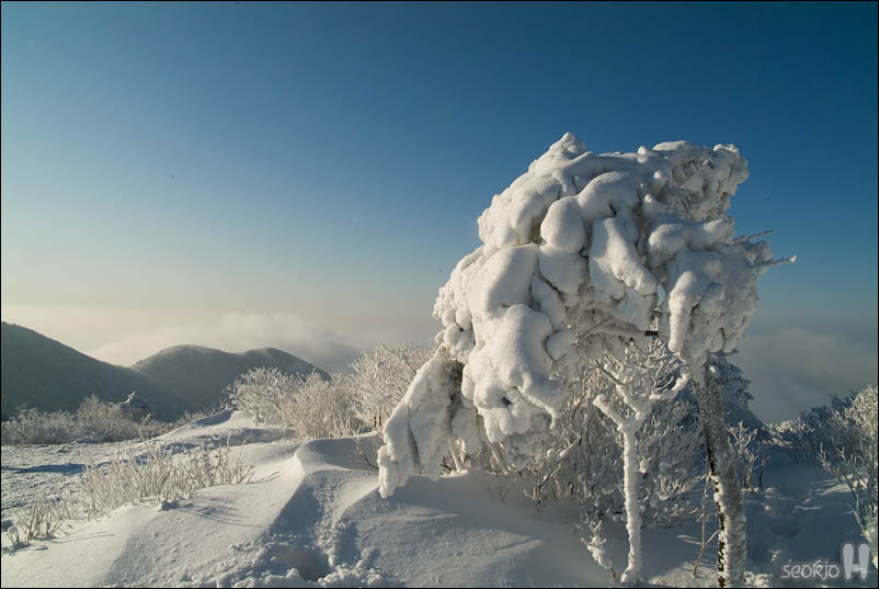 DSCF1778.jpg