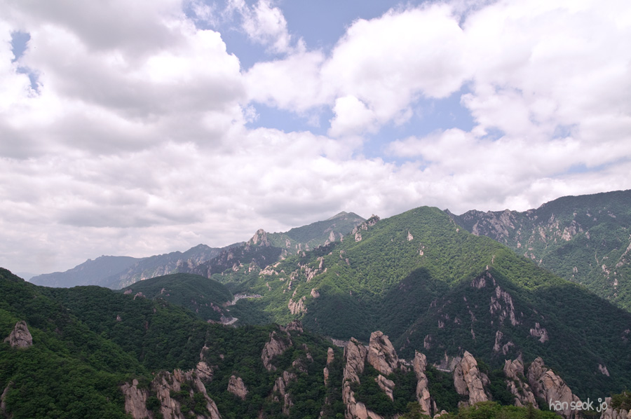 DSC_2205.jpg