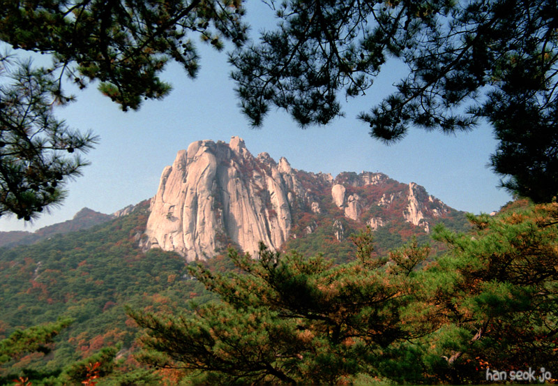 081027d.jpg