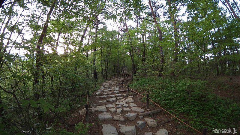SAM_102_0012.jpg