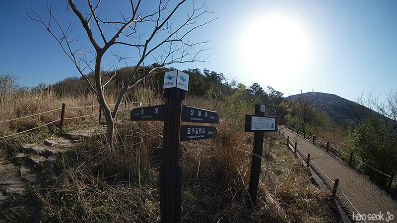 SAM_102_0040.jpg