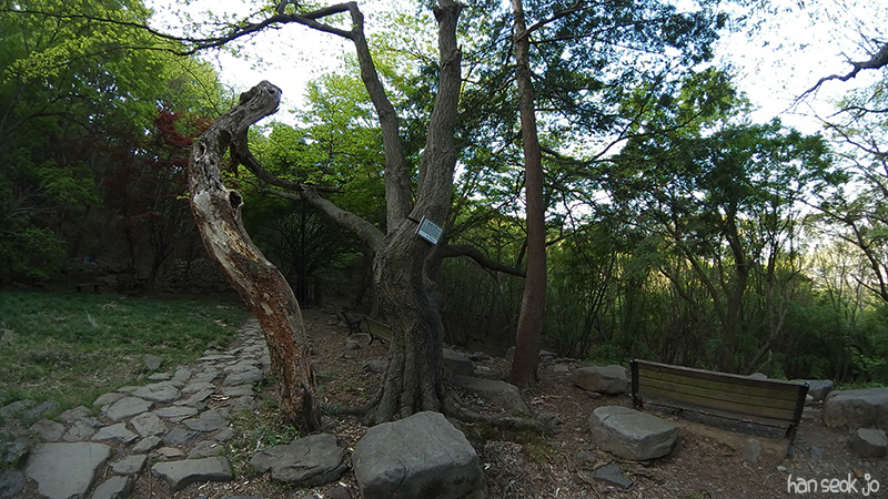 SAM_102_0020.jpg