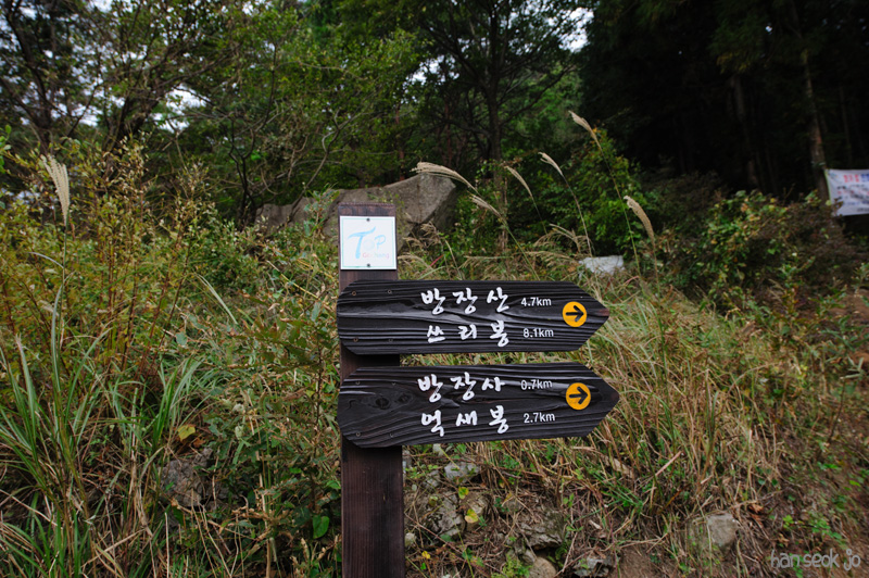 HSJ_5274.jpg