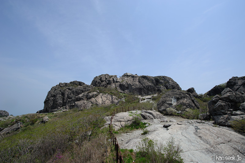HSJ_9656.jpg