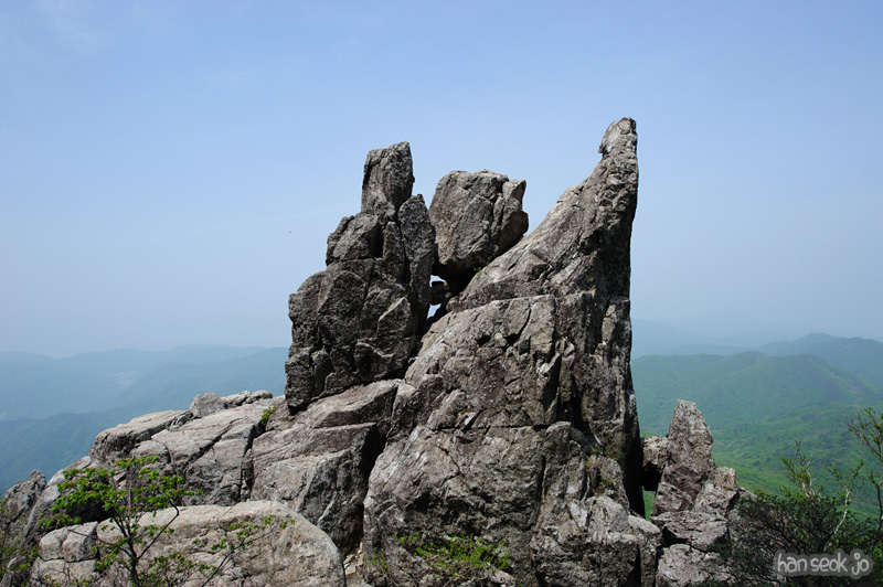 HSJ_9646.jpg