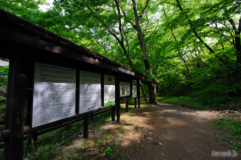 HSJ_9633.jpg