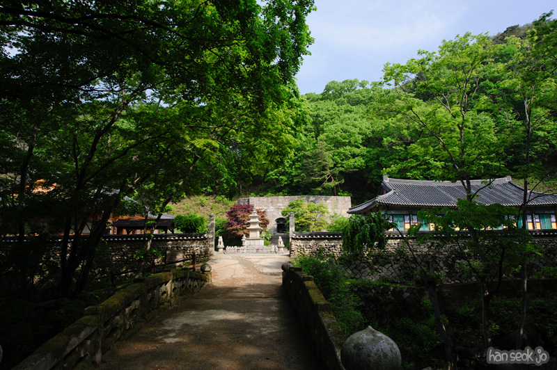 HSJ_9632.jpg