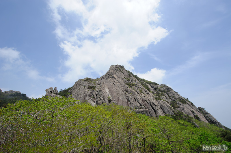 HSJ_9719.jpg