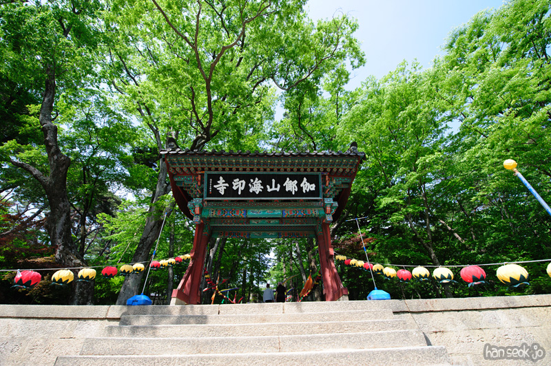 HSJ_9724.jpg