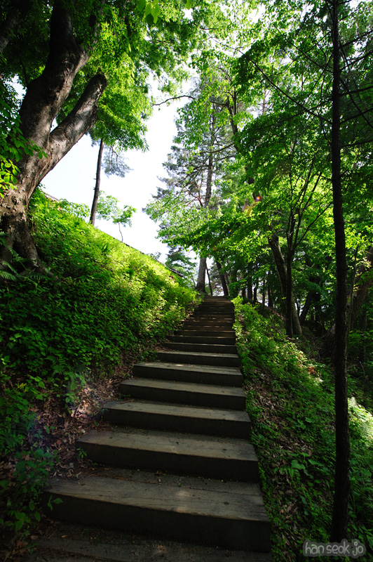 HSJ_9720.jpg
