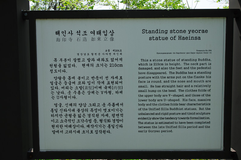 HSJ_9640.jpg