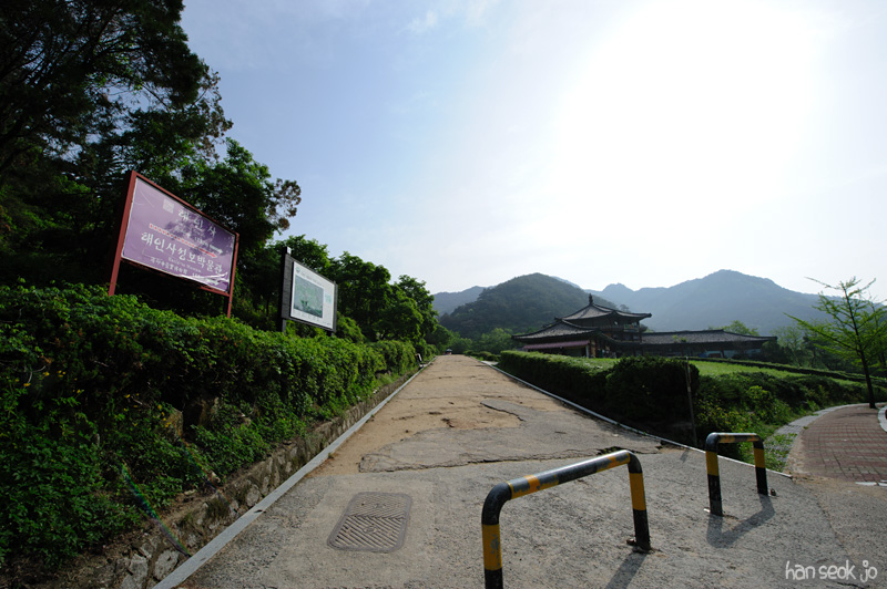 HSJ_9628.jpg