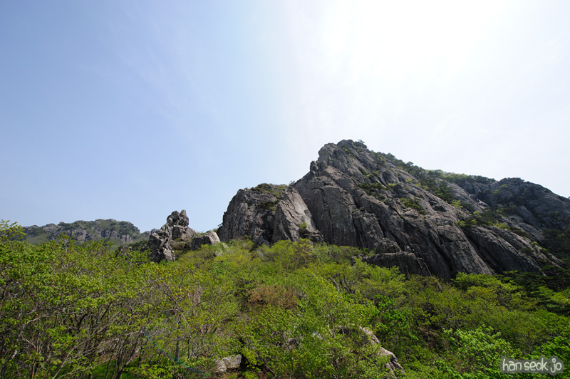 HSJ_9643.jpg