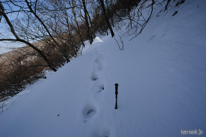 HSJ_8003.jpg