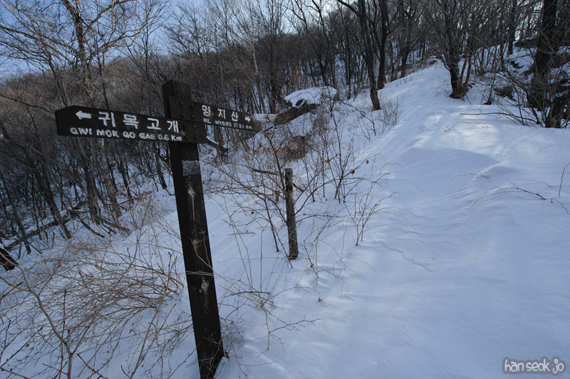 HSJ_7987.jpg