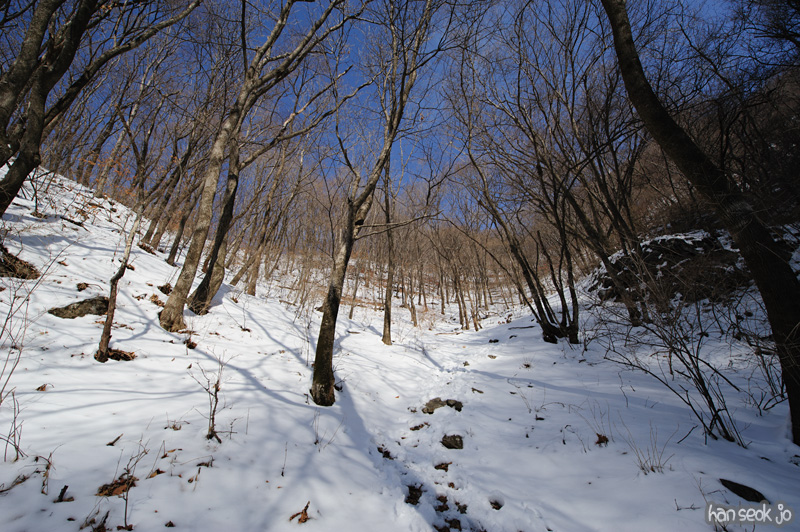 HSJ_7983.jpg