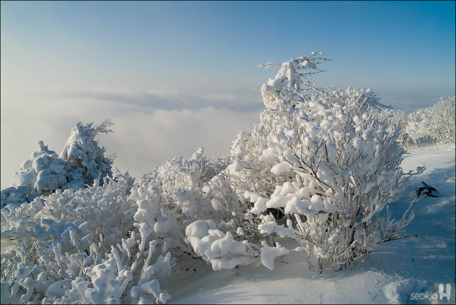 DSCF1775.jpg
