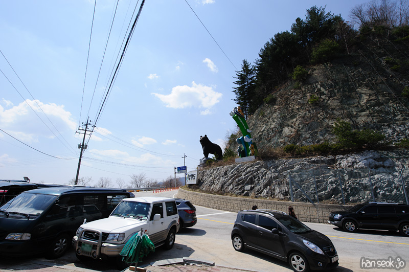 HSJ_9151.jpg