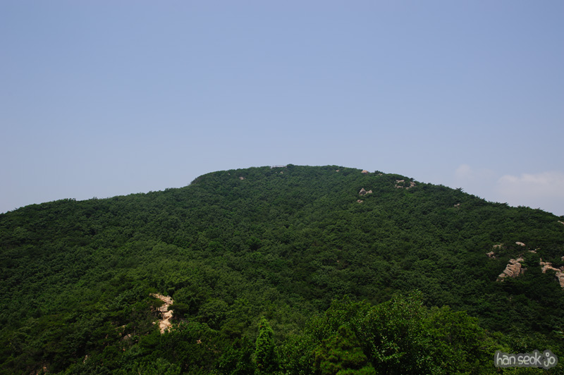 HSJ_0536.jpg