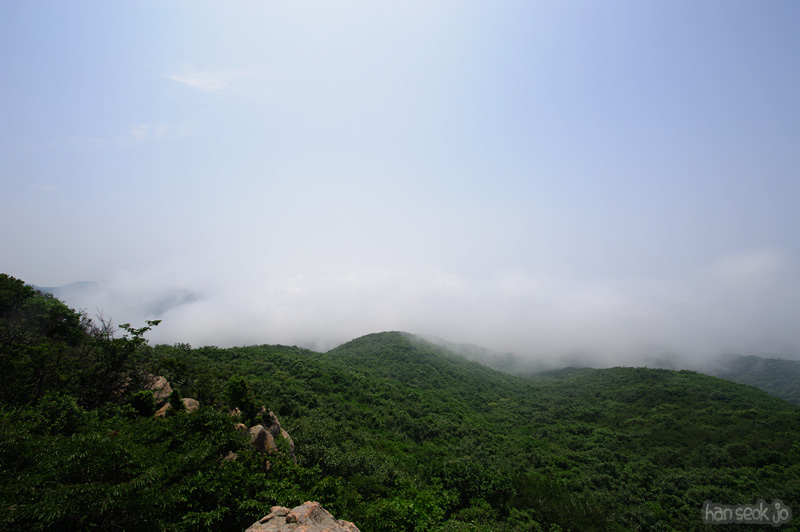 HSJ_0527.jpg