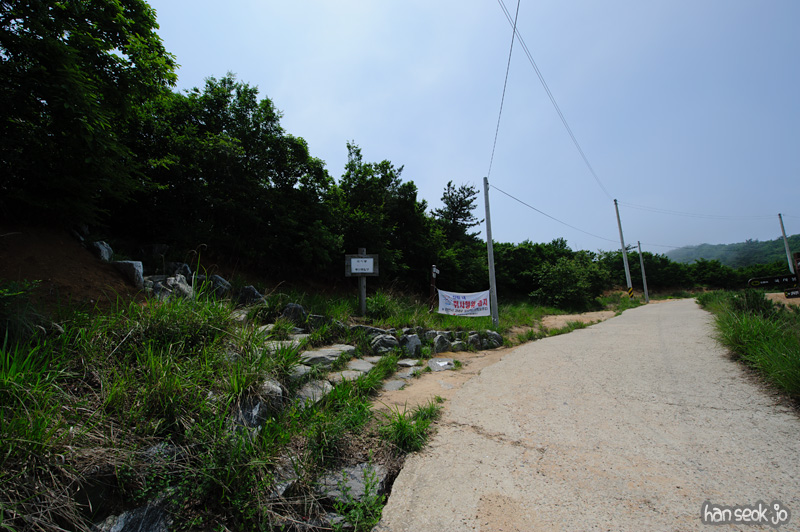 HSJ_0522.jpg